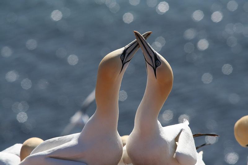 DP-2011-007 Bild0249c.JPG